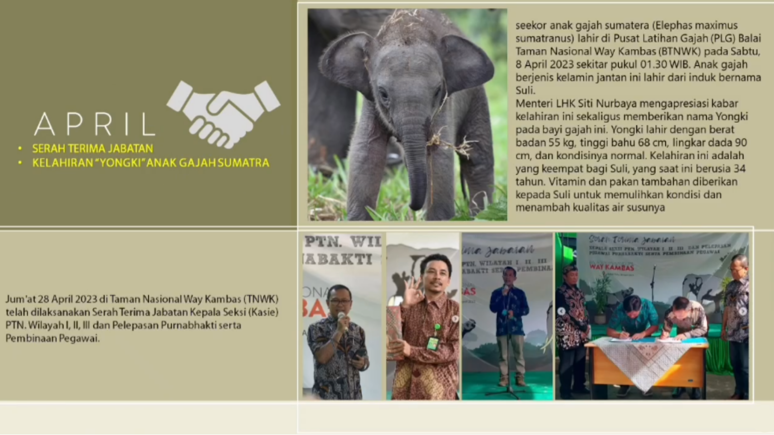 Kaleidoskop 2023 Jejak Konservasi dan Capaian Balai Taman Nasional Way Kambas (10)