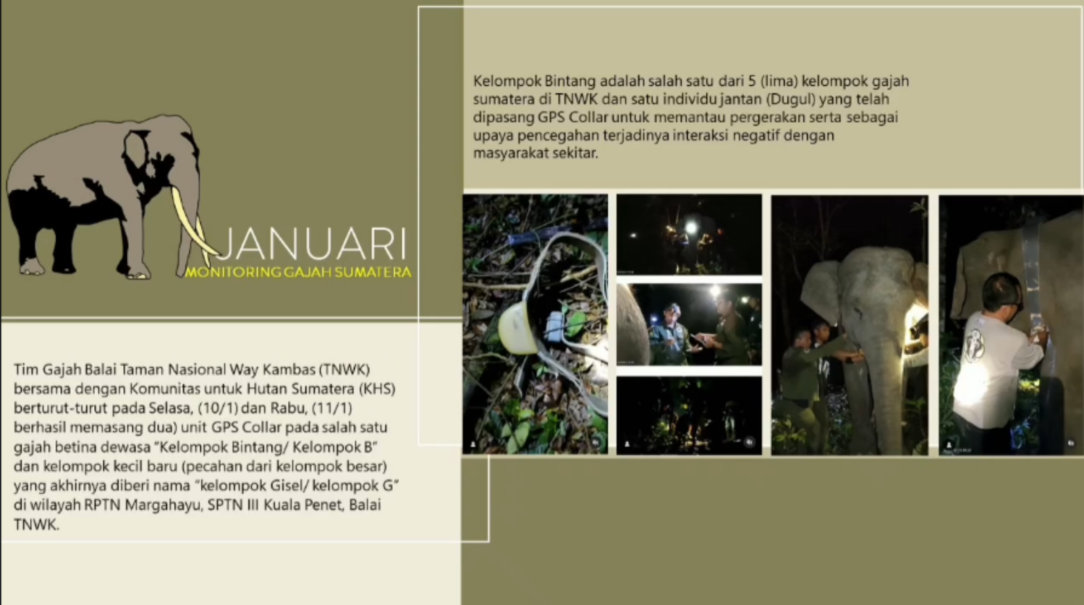 Kaleidoskop 2023 Jejak Konservasi dan Capaian Balai Taman Nasional Way Kambas (13)