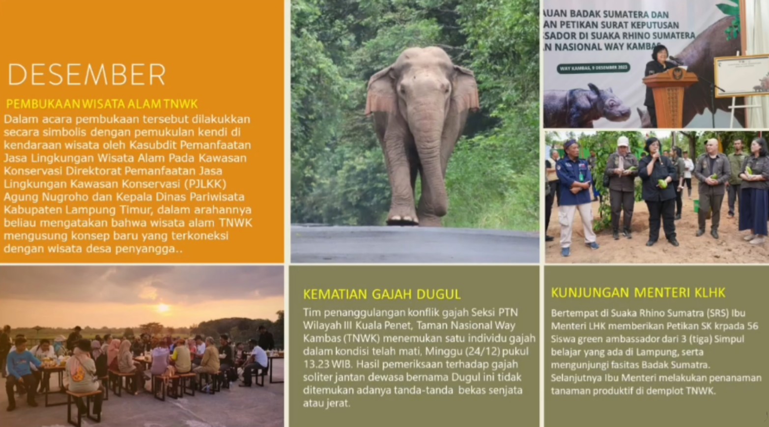 Kaleidoskop 2023 Jejak Konservasi dan Capaian Balai Taman Nasional Way Kambas (2)