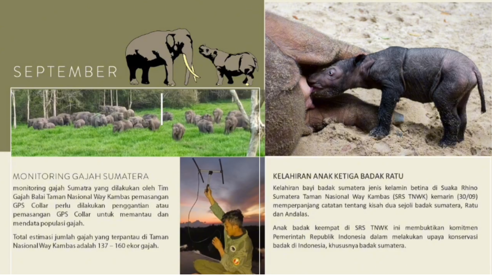 Kaleidoskop 2023 Jejak Konservasi dan Capaian Balai Taman Nasional Way Kambas (5)