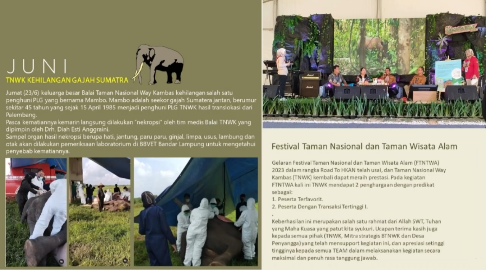 Kaleidoskop 2023 Jejak Konservasi dan Capaian Balai Taman Nasional Way Kambas (8)