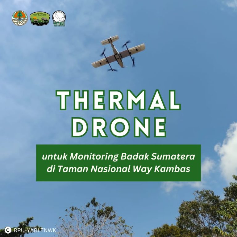 Inovasi Teknologi Penggunaan Thermal Drone untuk Monitoring Badak Sumatera di Way Kambas