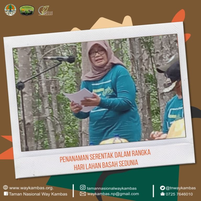 Peringatan Hari Lahan Basah Sedunia Penanaman Serentak di Mangrove Cukuhnyinyi Lampung
