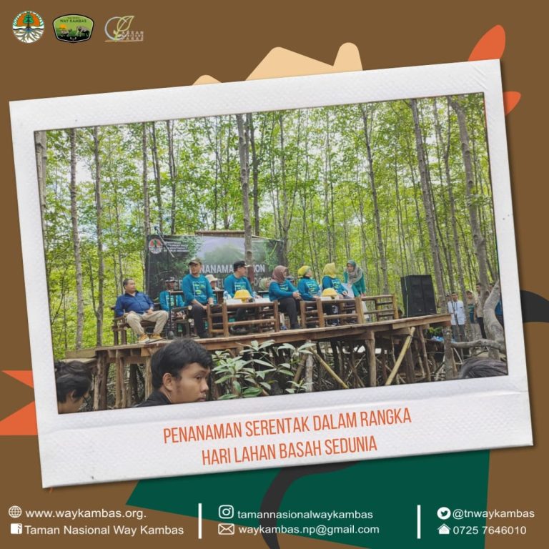 SaveClip.App_425357918_2153274865013012_7445651297412254212_n