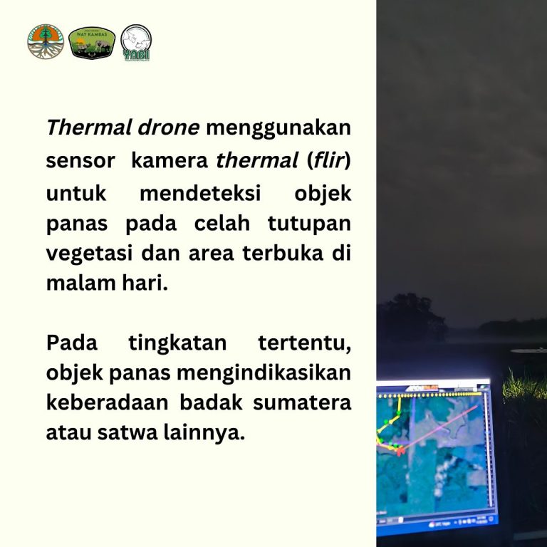 SaveClip.App_426053567_18338404798101684_304376514315247985_n