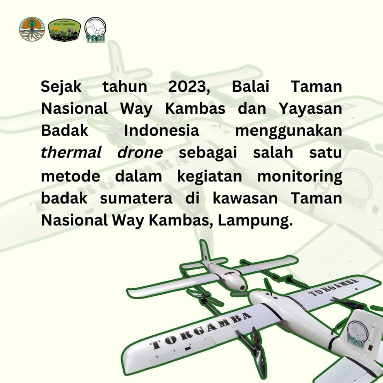 SaveClip.App_426058051_18338404786101684_3142495687218848210_n