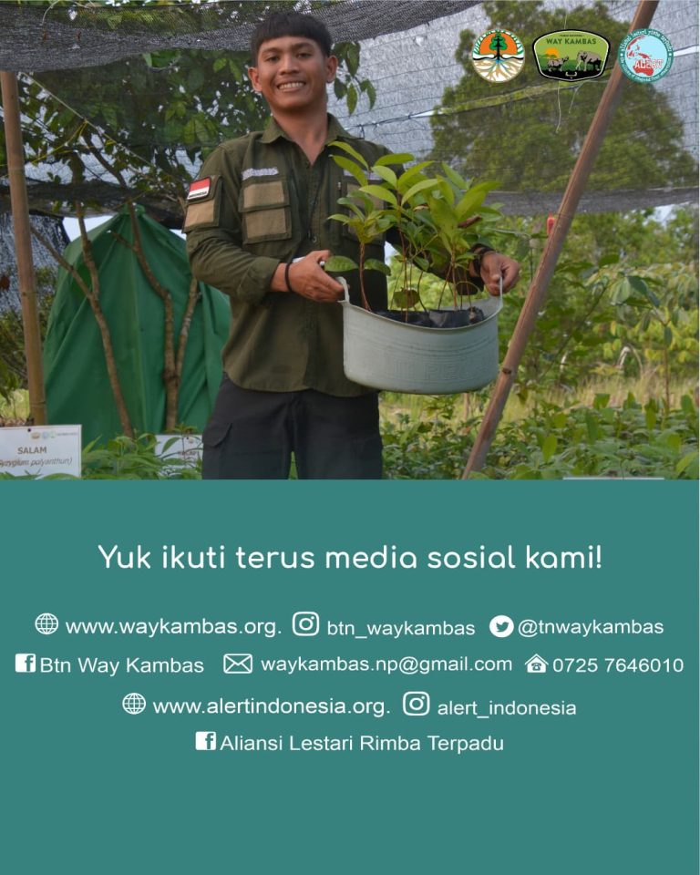 SaveClip.App_426829139_7461880957165731_6804883864330906211_n