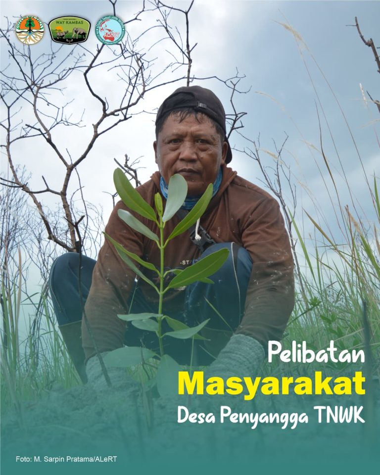 SaveClip.App_426978836_1041989420195700_2402665792782983940_n