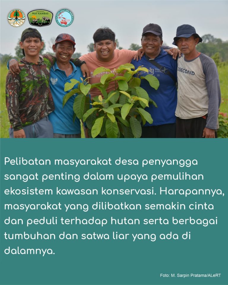 SaveClip.App_427300627_1571767960227014_7712655873650857743_n