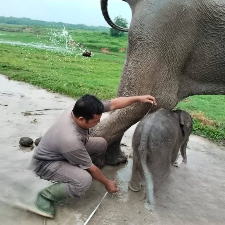 SaveClip.App_429962364_1842415112888696_1020955037915975690_n