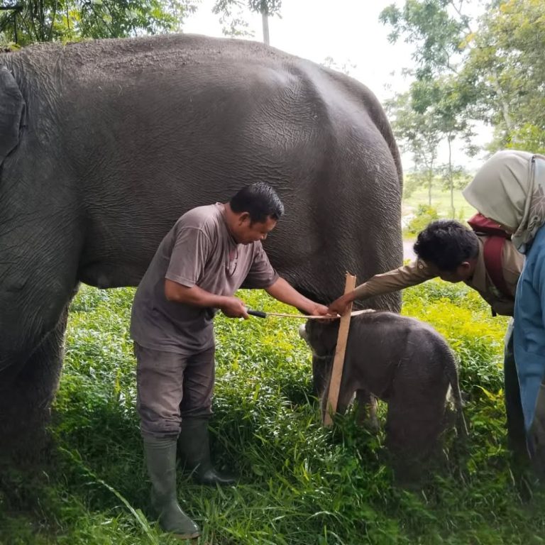 SaveClip.App_430023067_374721945505440_7583891385741980567_n