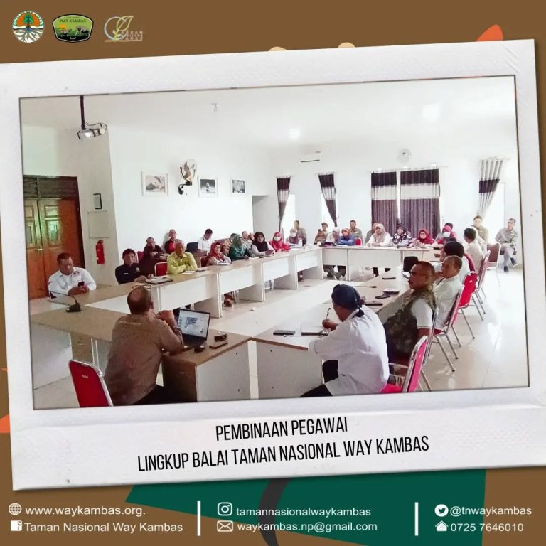 SaveClip.App_434082722_707948884880567_4214404534219563726_n