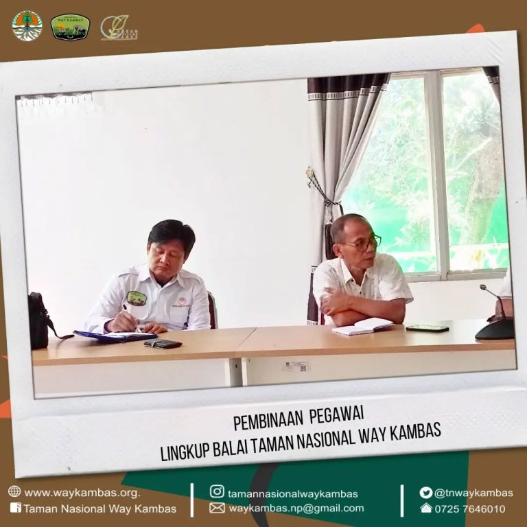 SaveClip.App_434138973_1174426793719966_276456354667514433_n