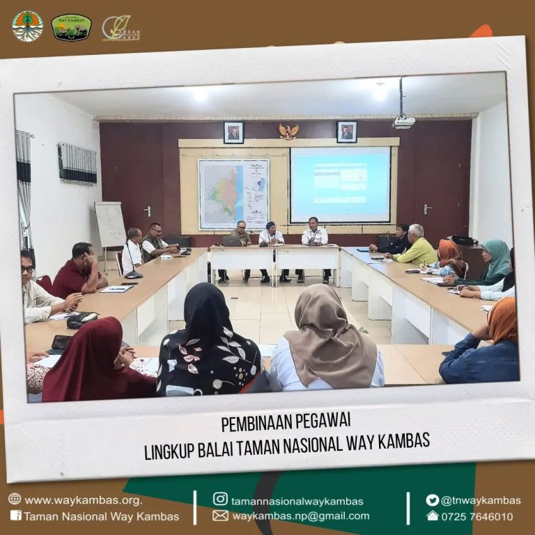 SaveClip.App_434147868_1708748099530886_4613338726158132406_n