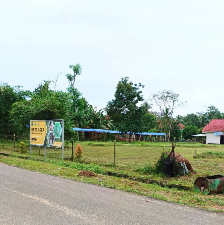 Wisata Alam di Taman Nasional Way Kambas Lebih dari Sekadar Liburan Biasa