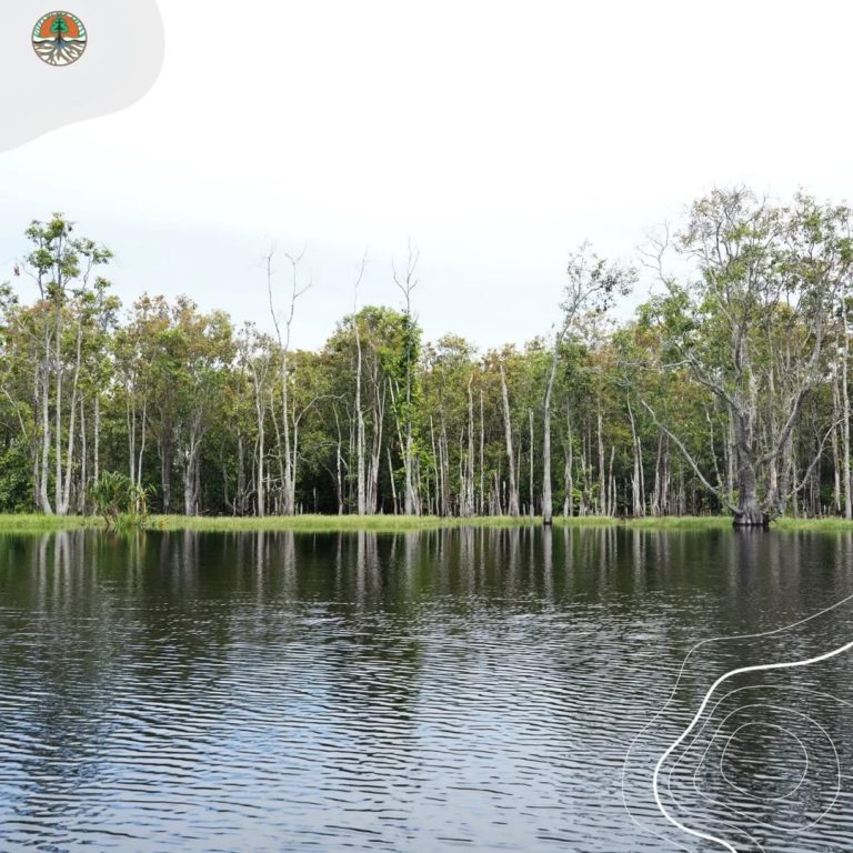 Memahami Perdagangan Karbon Langkah Nyata Indonesia Menuju Penurunan Emisi Global