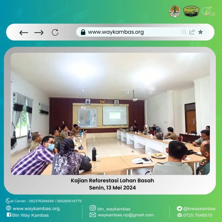 Memulihkan Ekosistem Kajian Reforestasi Lahan Basah di Taman Nasional Way Kambas