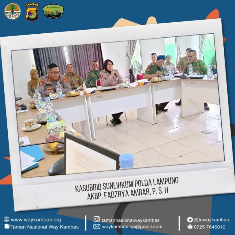 SaveClip.App_441460525_1137489500620304_4311422885498054336_n