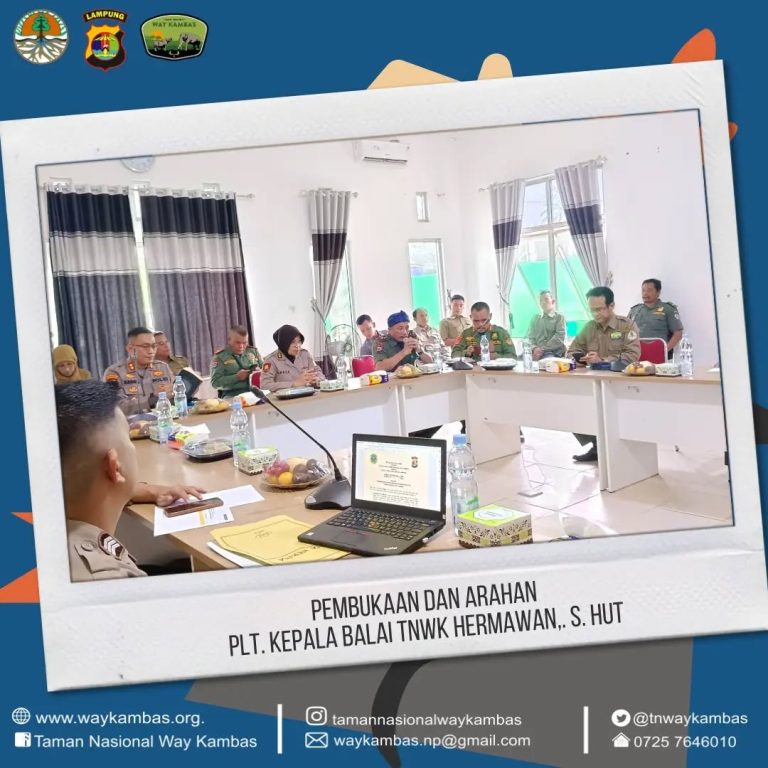 SaveClip.App_441491526_487783043674814_8000455105558310361_n