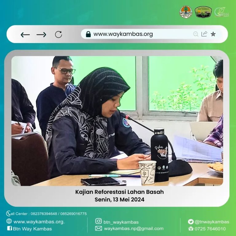 SaveClip.App_441541356_908532724375566_5235718026901401419_n