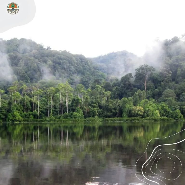 SaveClip.App_441546504_418120870972273_6178933727474455312_n