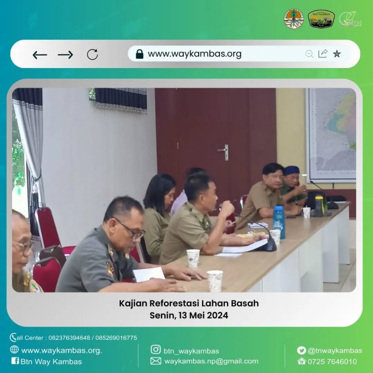 SaveClip.App_442470171_7518223858292476_6493034541464971006_n