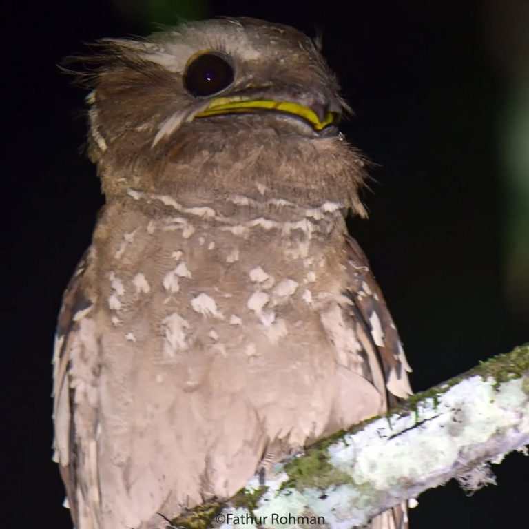 SaveClip.App_443240394_461338746460048_7133228093585488745_n