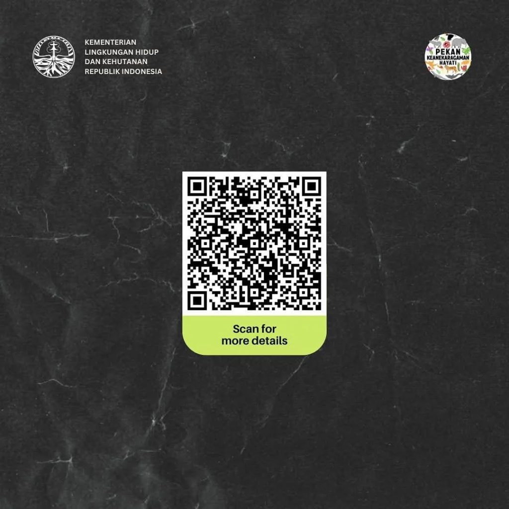 SaveClip.App_444125192_289883287423687_5013780688269665899_n