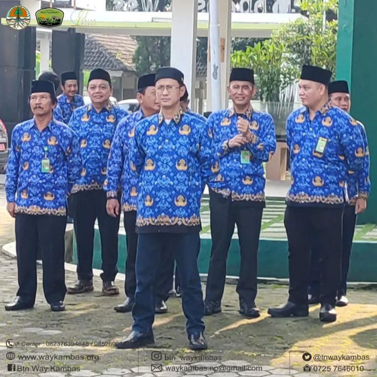 SaveClip.App_444482147_984480143268588_1958367144611083235_n