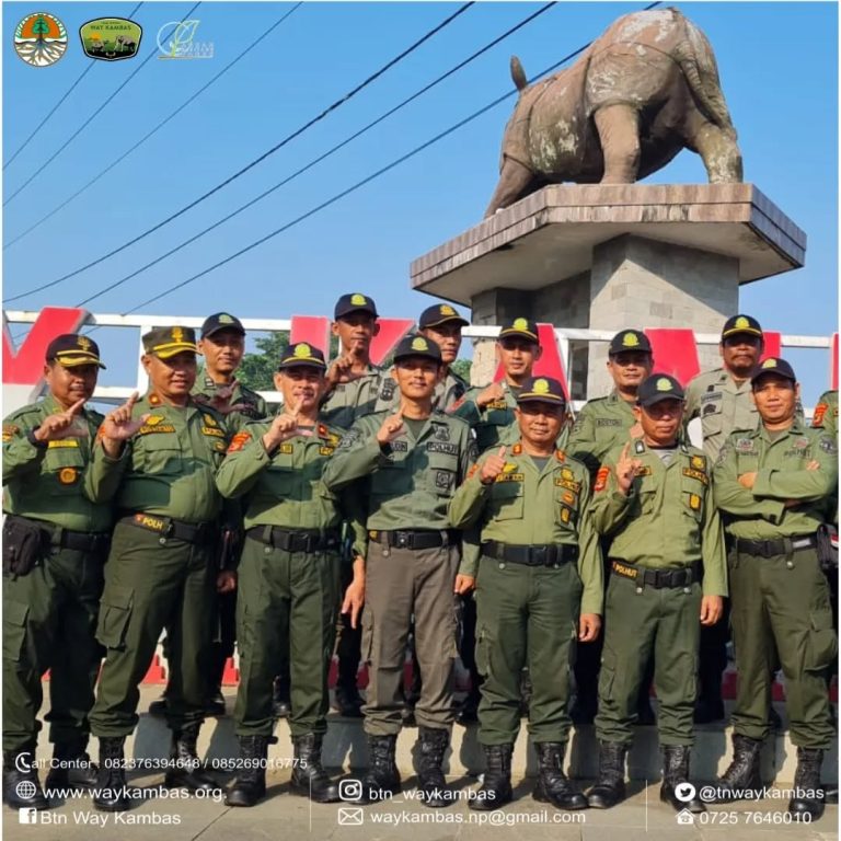 SaveClip.App_444500009_801469441926790_1727514794215885138_n