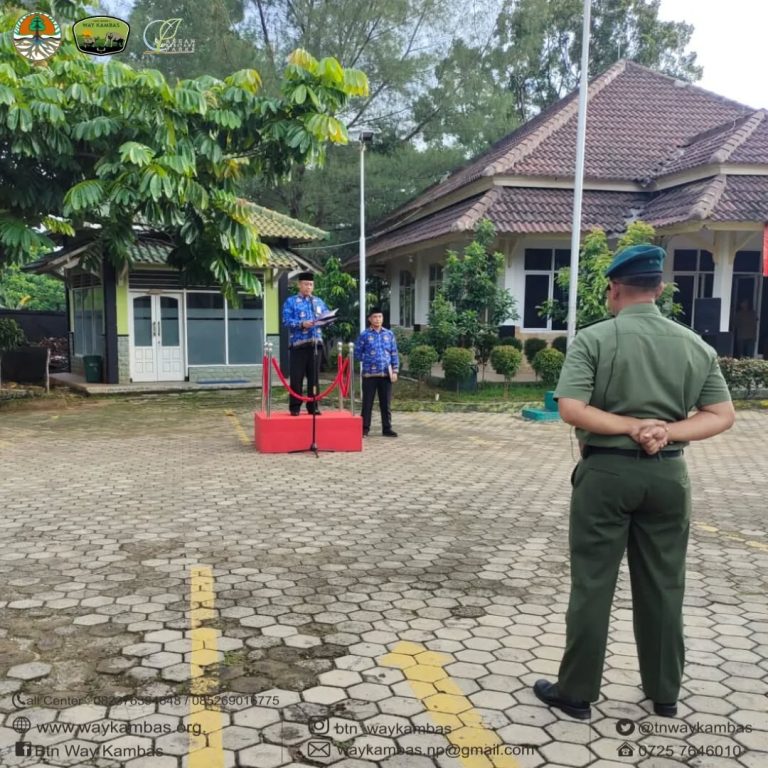 SaveClip.App_445135383_985505169970992_4093217341139259314_n