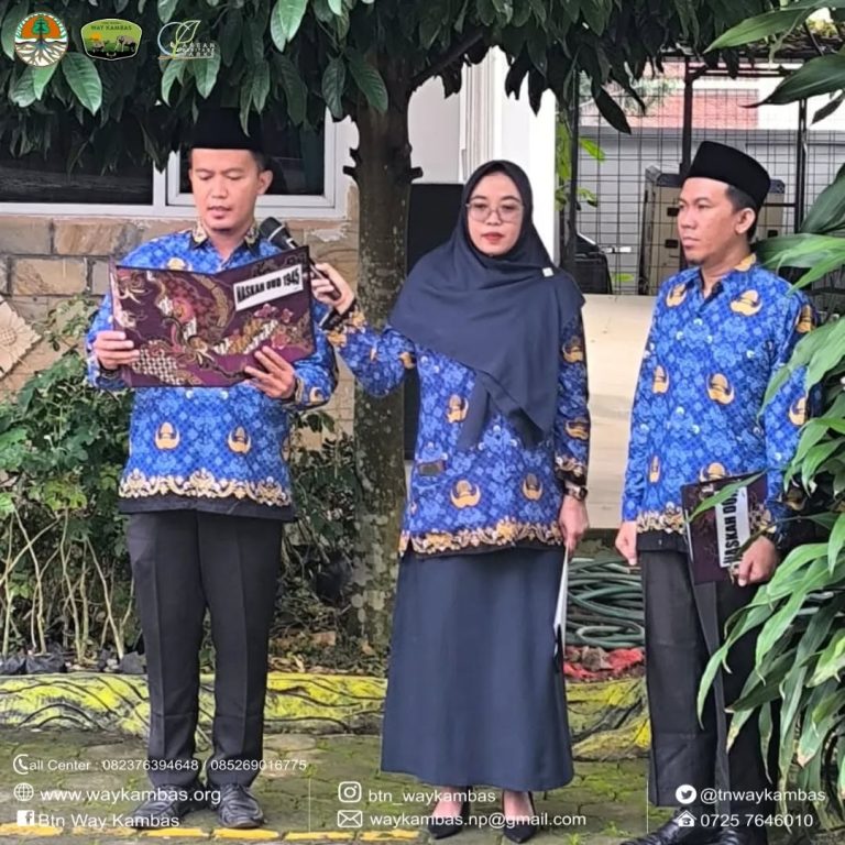 SaveClip.App_445285831_468827639035845_3309725707477231959_n