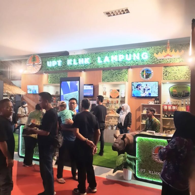 SaveClip.App_445887760_7567034606689765_1815799214207178947_n