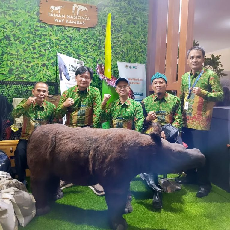 SaveClip.App_445973913_886758160137863_3150385520396437238_n