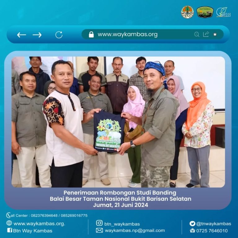 SaveClip.App_448574612_455443627222112_4625959118565154582_n