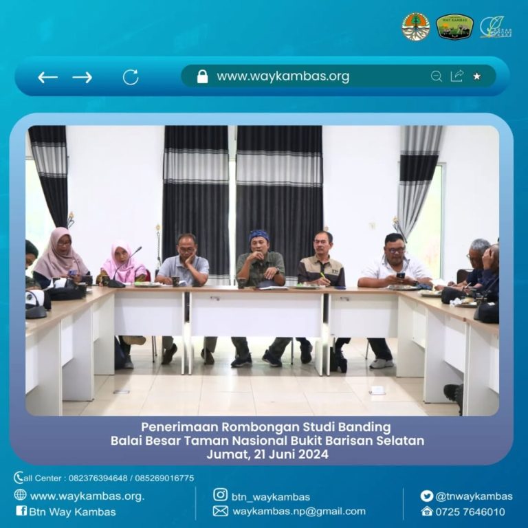 SaveClip.App_448677089_990800948933141_7717890119587676488_n