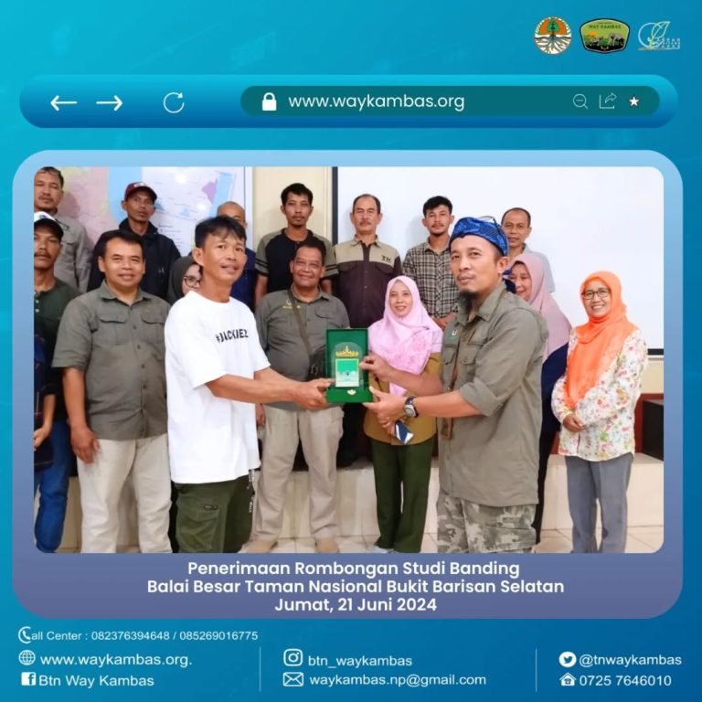 SaveClip.App_448796104_2816769168460870_1845645329778584913_n