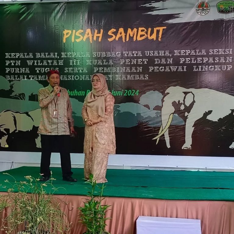 SaveClip.App_448935678_1553307135528704_1486649908334916294_n