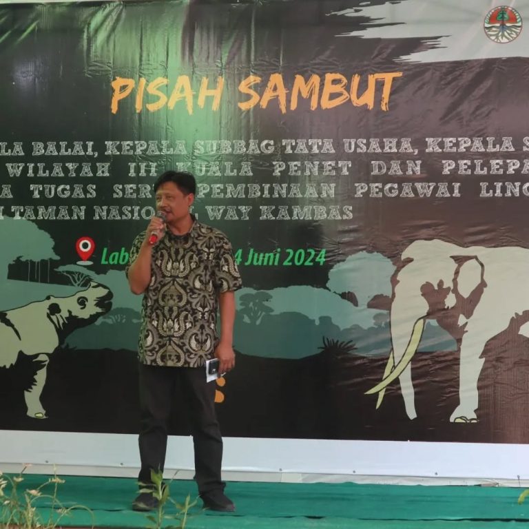 SaveClip.App_449082970_1030469458504897_3376054738458247236_n