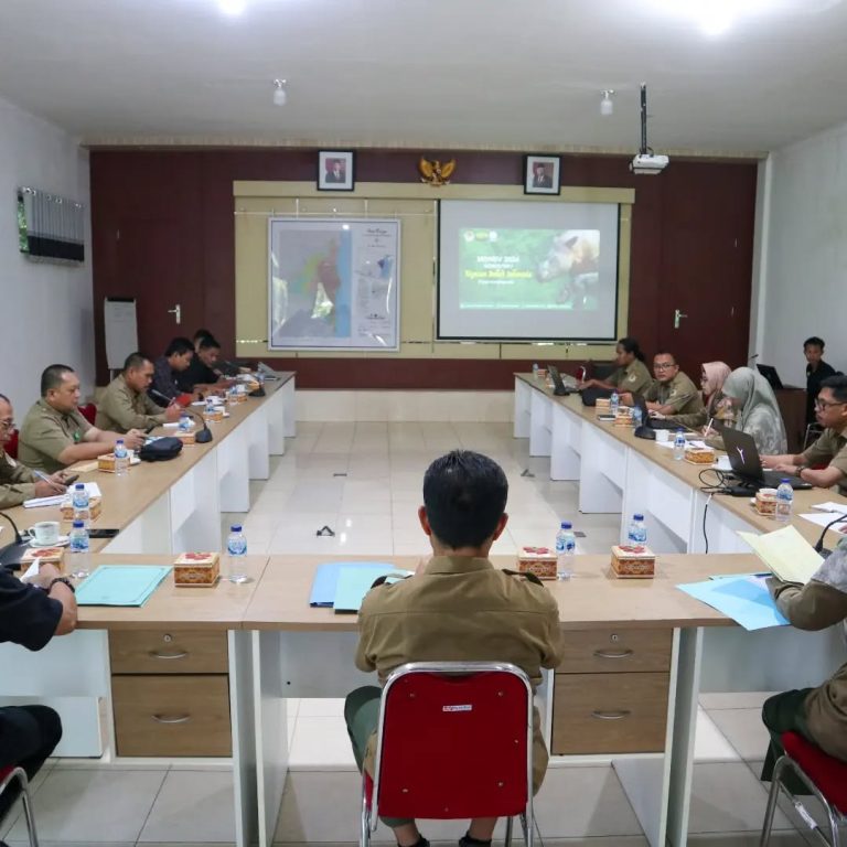 SaveClip.App_449601560_1466771217295132_573782180624930497_n