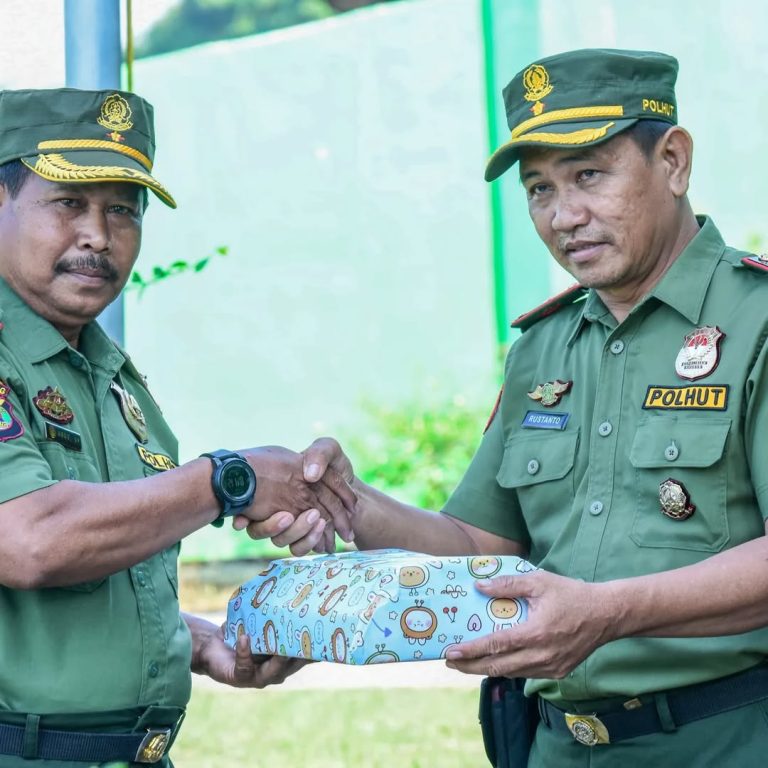 SaveClip.App_449641070_1202996960870033_6613326546181799141_n