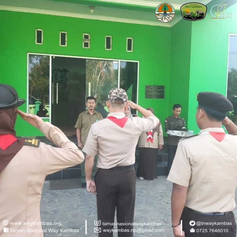 SaveClip.App_452555938_1212232126360592_2227902003019965791_n