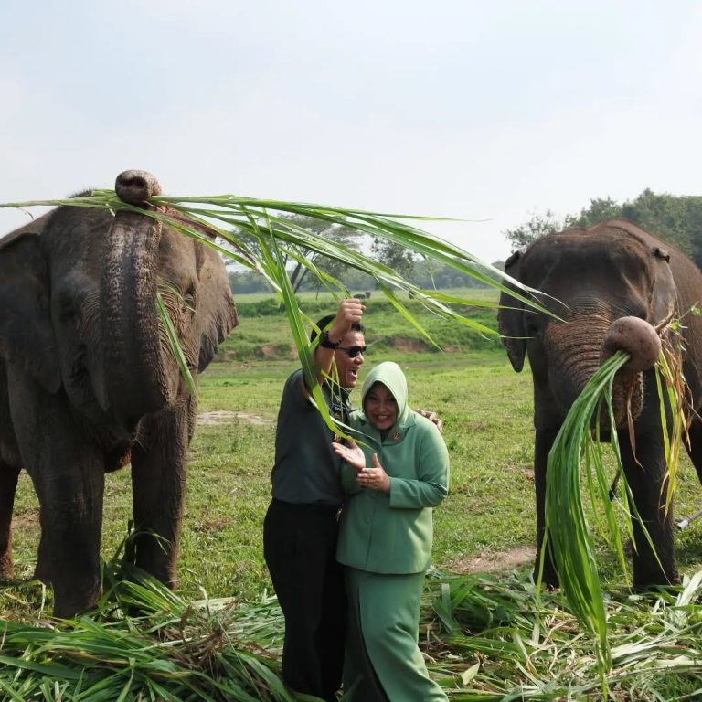 SaveClip.App_452581212_1427834971226296_6969973189030156211_n