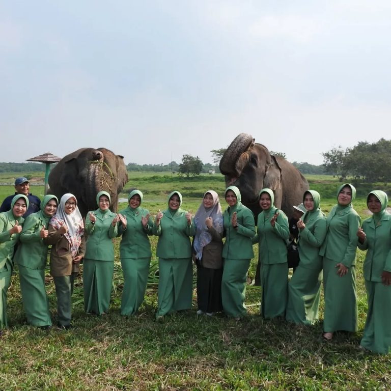 SaveClip.App_452728536_1577410619507073_4872369635262294217_n