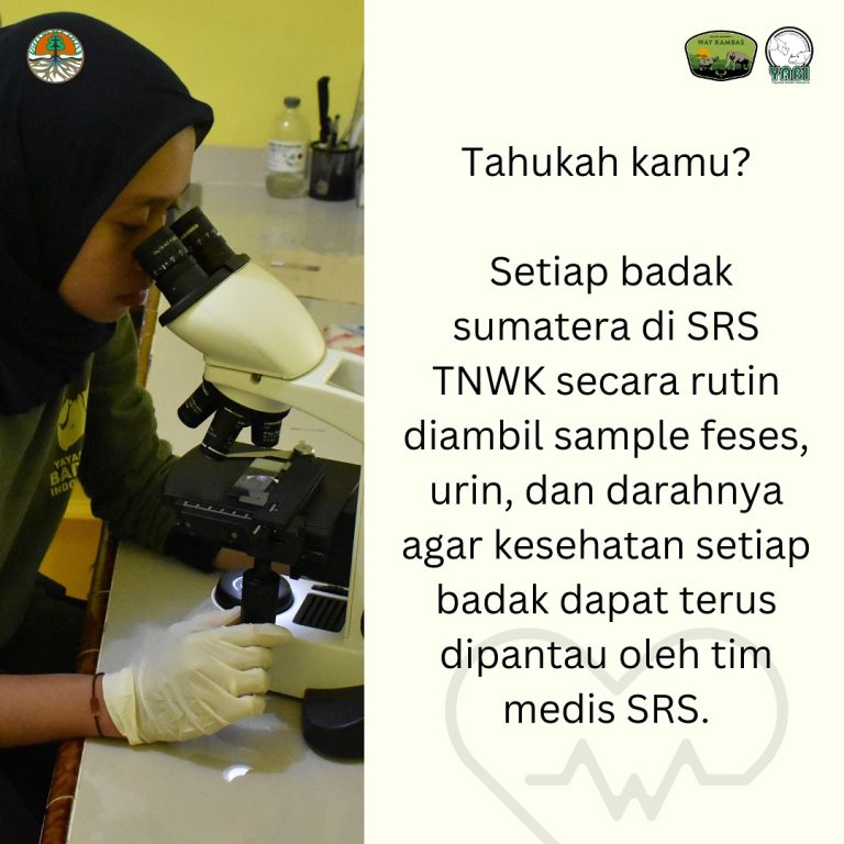 SaveClip.App_468536873_18385951753101684_7089636467362334980_n