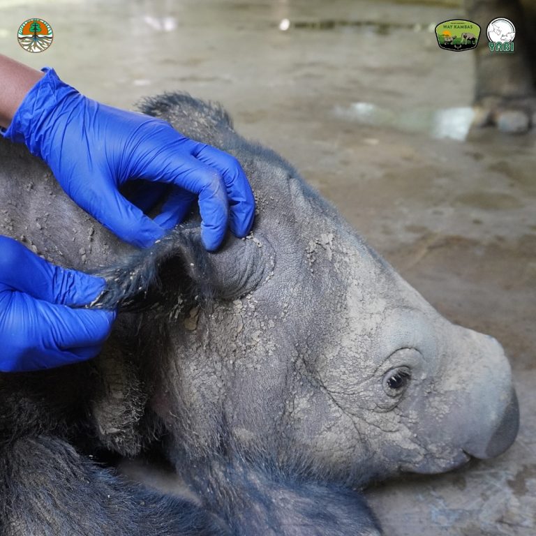 SaveClip.App_468729506_18385951756101684_8439788516372809825_n