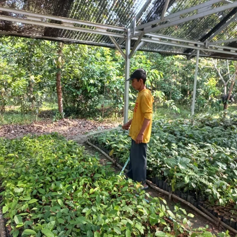 SaveClip.App_453416044_18033350417492422_2196654146562100648_n