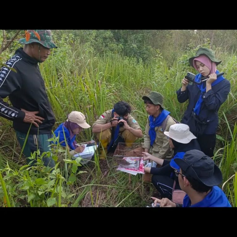 SaveClip.App_454274354_1430204147605221_2332646795213032757_n