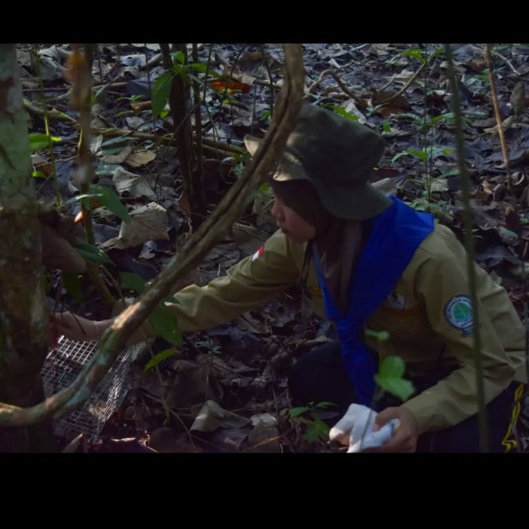 SaveClip.App_454366481_1010414387533078_6670813204455933938_n