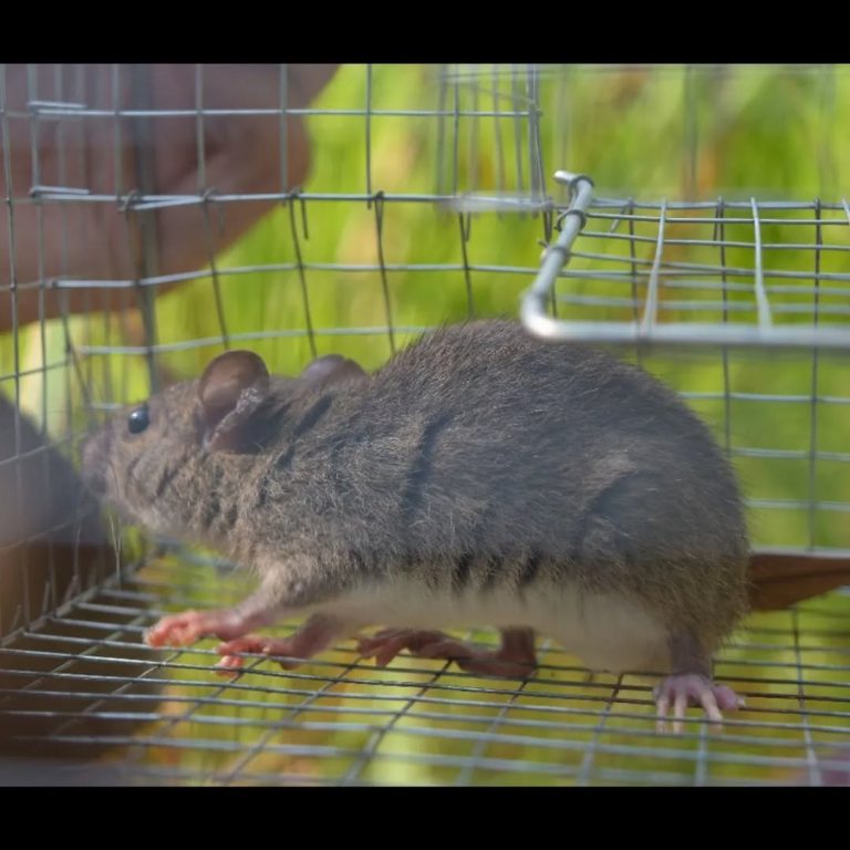 SaveClip.App_454389191_1179358496687159_6653349989509639202_n